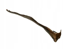 skora-z-sarny-suszona-50cm-1szt-naturalny-gryzak-dla-srednich-i-duzych-ps