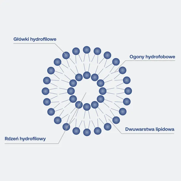 formeds-lipocaps-glutation-liposomalny-90-kap