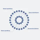 formeds-lipocaps-glutation-liposomalny-90-kap
