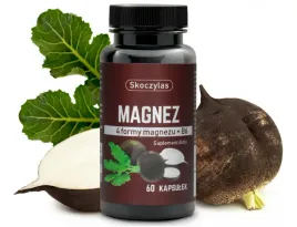 skoczylas-magnez-4-formy-czarna-rzepa