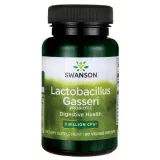 swanson-lactobacillus-gasseri