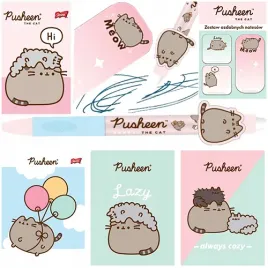 wyprawka-szkolna-pusheen-pastelowy-kotek-zeszyty-dlugopis-wymazywalny
