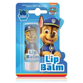 paw-patrol-balsam-do-ust-blueberry-4-4g