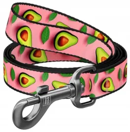 lekka-i-wytrzymala-smycz-dla-psa-waudog-s-15mm-200cm-awokado-na-rozu