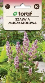 nasiona-szalwia-muszkatolowa-05g