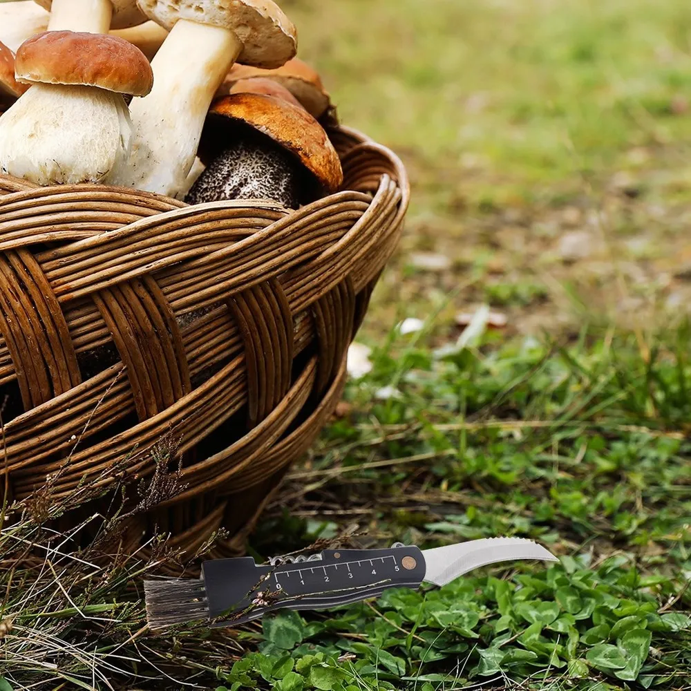 nozyk-do-grzybow-stalowy