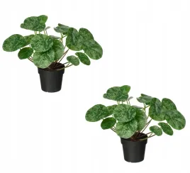 ikea-fejka-sztuczna-roslina-w-doniczce-pilea-jak-zywa-komplet-2-sztuk