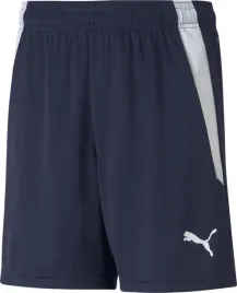 spodenki-dla-dzieci-puma-teamliga-shorts-jr-granatowe-704931-06-rozm-164cm