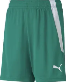 spodenki-dla-dzieci-puma-teamliga-shorts-jr-zielone-704931-05-rozm-128cm