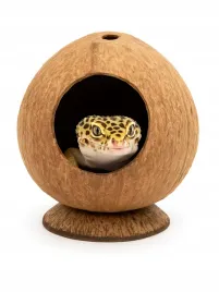 naturalny-kokos-z-otworami-kryjowka-i-zabawka-do-terrarium-dla-gadow