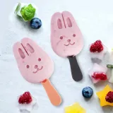 forma-do-lodow-z-pokrywka-waga-z-opakowaniem-0-04-kg