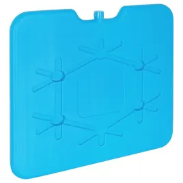 wklad-chlodzacy-do-lodowki-turystycznej-plaski-640-g