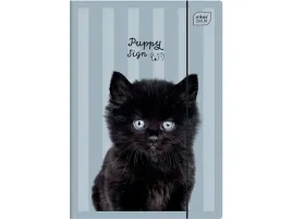 interdruk-szkolna-teczka-z-gumka-a4-na-dokumenty-rysunki-puppy-sing-kot