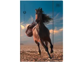 interdruk-szkolna-teczka-z-gumka-a4-na-dokumenty-girls-wild-horses-kon