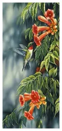 haft-diamentowy-diamond-painting-mozaika-piekny-koliber-55x115-cm-k