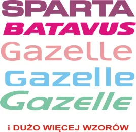 batavus-gazelle-sparta-rower-miejski-damka-holender-yess-naklejki