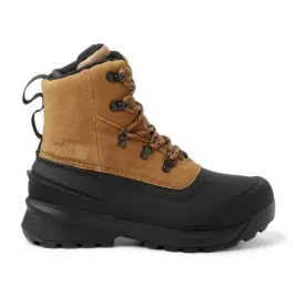 chilkat-v-lace-wp