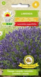 nasiona-lawenda-02g