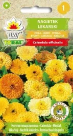 nasiona-nagietek-lekarski-1g