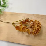 dodatek-pik-brazowy-stan-nowy