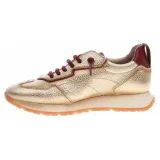 chi254312antico-marka-hispanitas