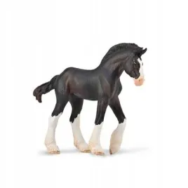 zrebie-clydesdale-masci-czarnej-collecta