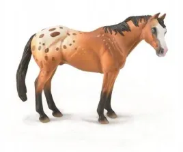 kon-appaloosa-walach-jasnobrazowy-collecta