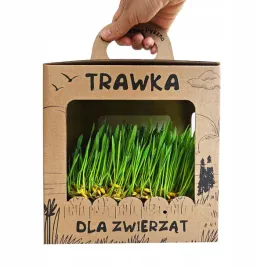 trawa-dla-kota-swiezo-wyrosniety-przysmak-odklaczajacy-gotowy-do-spozycia