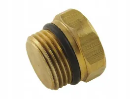 korek-zaslepka-listwy-wtryskowej-taurus-lpg-m16