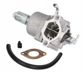 gaznik-briggsandstratton-310000-794572-796109