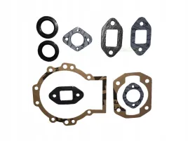 zestaw-uszczelek-wacker-wm80-bs60y-bs600-16986