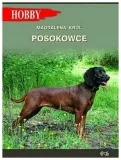 posokowce-krol-magdalena