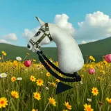 hobby-horse-a4-material-drewno-tkanina