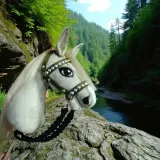 hobby-horse-a4-kolor-dominujacy-odcienie-brazu-i-bezu