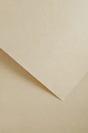 papier-ozdobny-wood-jasnokremowy-20-arkuszy-220g-205611-galeria-papieru