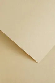papier-ozdobny-wood-kremowy-20-arkuszy-220g-205612-galeria-papieru