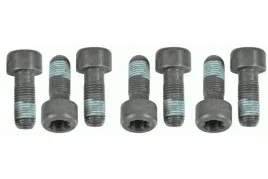 zestaw-srub-kola-zamachowego-1874-000-054-sac