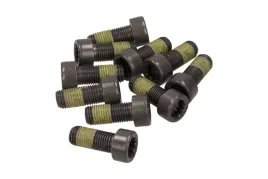 zestaw-srub-kola-zamachowego-1874-000-051-sac