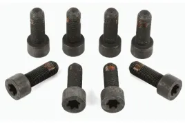 zestaw-srub-kola-zamachowego-1874000005-sachs