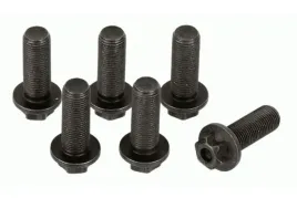 zestaw-srub-kola-zamachowego-1874000045-sachs