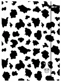 teczka-a4-z-gumka-bandw-krowa-happy-color