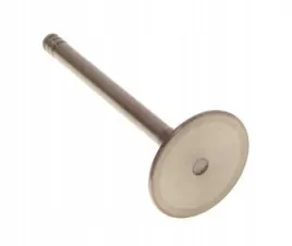 zawor-ss-vw-1-4-1-9-2-0-2-5tdi-6v-8v-10v