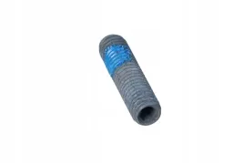 sruba-bmw-x5-e53-bmw-11151736960