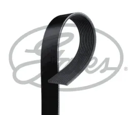 pasek-wieloklinowy-10pk1812hd-gts