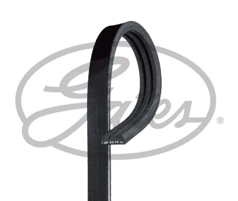 pasek-wieloklinowy-3pk798sf-gts