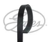 pasek-wieloklinowy-5pk955-gts-stan-nowy