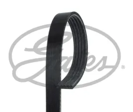 pasek-wieloklinowy-5pk1698-gts