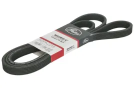 pasek-wieloklinowy-6dpk2215-gts