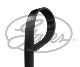 pasek-wieloklinowy-8pk2513-gts