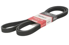 pasek-wieloklinowy-7dpk2884-gts